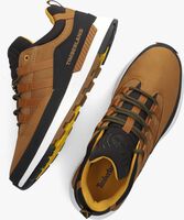Cognacfarbene TIMBERLAND Sneaker low EURO TREKKER LOW - medium