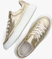 Goldfarbene TANGO Sneaker low ALEX 25 - medium