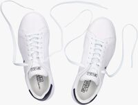 Weiße POLO RALPH LAUREN Sneaker low HRT CT II - medium