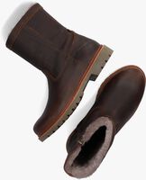 Braune PANAMA JACK FEDRO IGLOO C10 Ankle Boots - medium