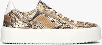 Goldfarbene FLORIS VAN BOMMEL Sneaker low SFW-10106 - medium