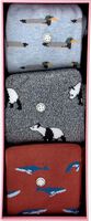 Mehrfarbige/Bunte ALFREDO GONZALES Socken ANIMALS BOX - medium