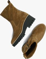 Braune PAUL GREEN Ankle Boots 9017 - medium